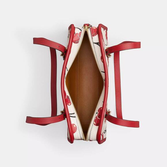 ❤️ Coach Swing Zip Bag With Cherry Print - Picture 5 of 9